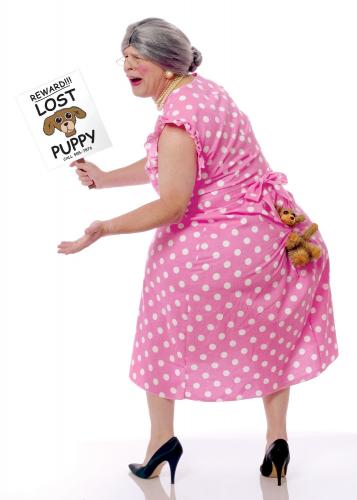 Костюм Пропал Щенок! - купить 